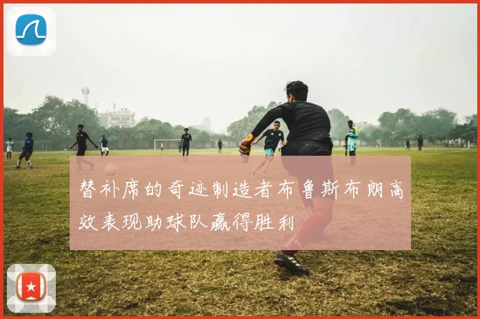 替补席的奇迹制造者布鲁斯布朗高效表现助球队赢得胜利