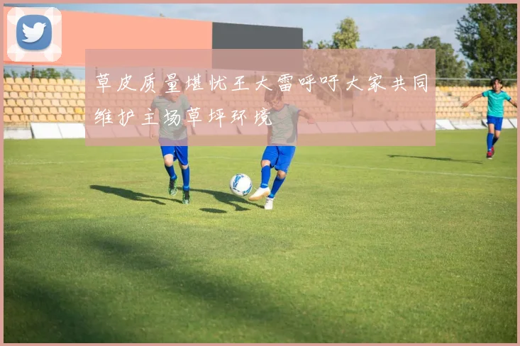草皮质量堪忧王大雷呼吁大家共同维护主场草坪环境