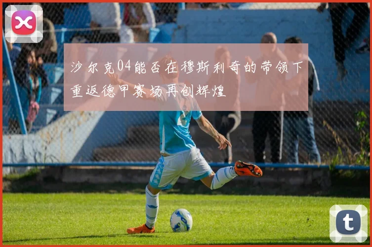 沙尔克04能否在穆斯利奇的带领下重返德甲赛场再创辉煌