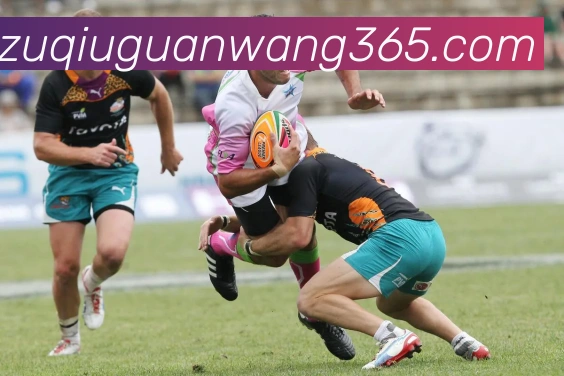 沙巴体育APP 封面图